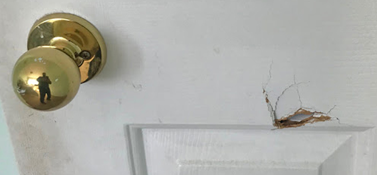 interior door hole repair Roseville